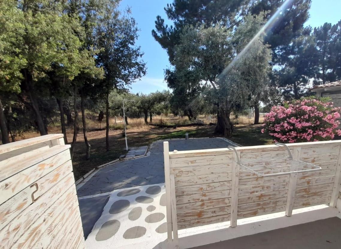 Orama Thassos Hotel Skala Sotiros Bagian luar foto